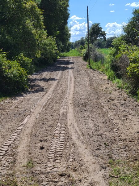 20200719_161600.jpg
