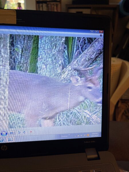 2021 FL Buck.jpg