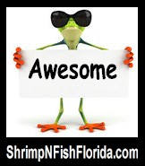 Awesome1.jpg
