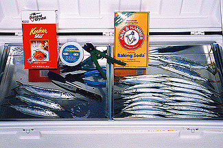 ballyhoo_pic01sm.jpg