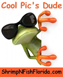 CoolPicsDude1.jpg