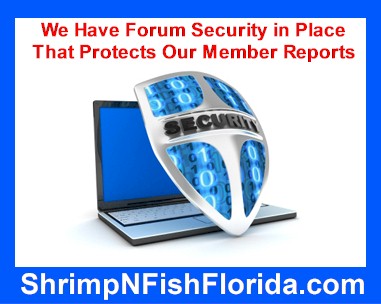 forum-security1-jpg-23094-jpg.23096.jpg