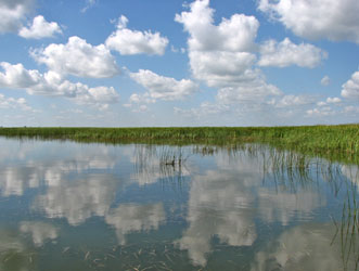 FW_Okeechobee.jpg
