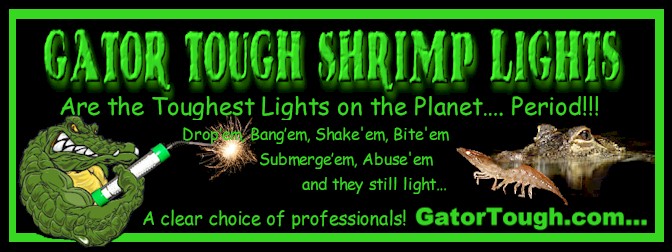 gatortoughbanners7-jpg.1901.jpg