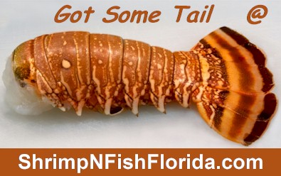 Got Some Tail At.jpg