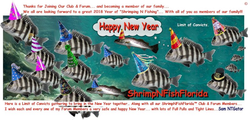 HappyNewYear2017jpg.jpg