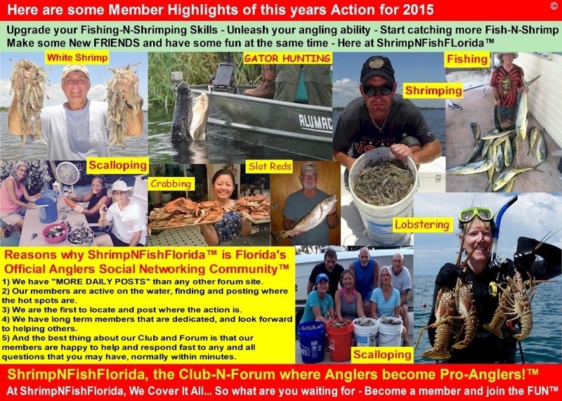 Highlights%252520of%252520the%252520years%252520Action%2525202015.jpg