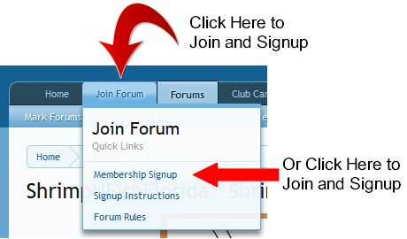 Join Here 1.jpg