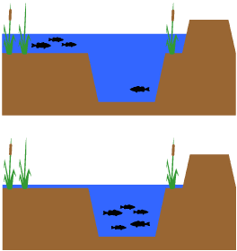 marshwaterlevels.gif