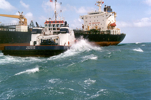 Moppie30-7.JPG