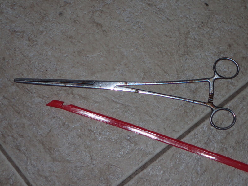 PA070014.JPG