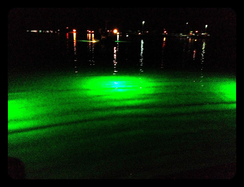 photo2.JPG