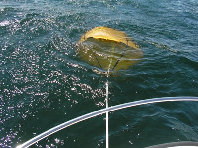picparatechbb482-jpg.26923.jpg