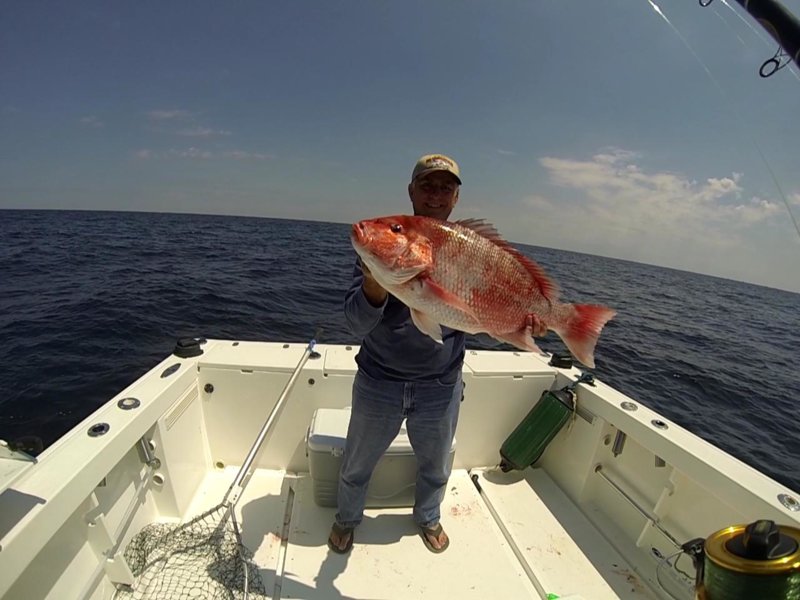 Red Snapper 14.jpg