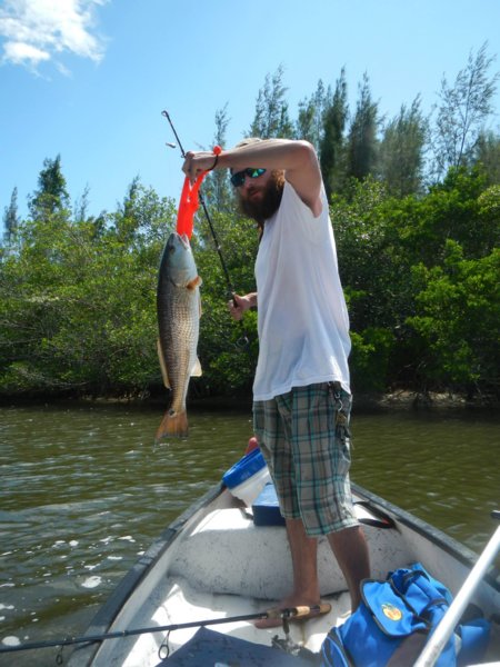 redfish1.jpg