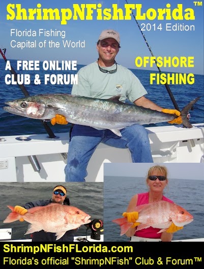 Shrimp%2520Magazine2.jpg