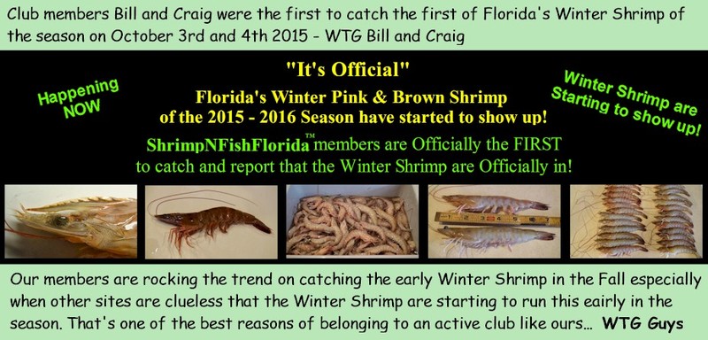 ShrimpForumBannerWinterShrimp2015.jpg