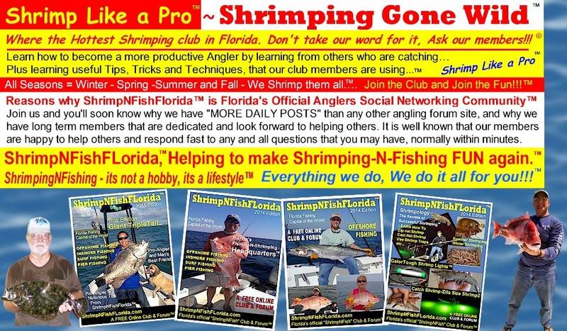 Shrimping%252520Gone%252520Wild%2525201.jpg