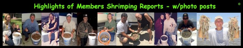 shrimping recap 2015.jpg