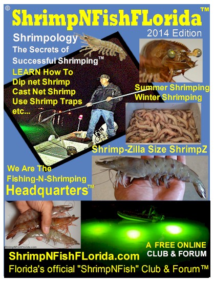 shrimpmagazine3-jpg.19731.jpg