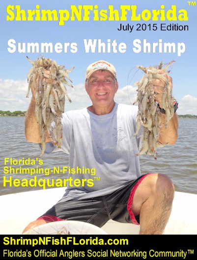 summerwhiteshrimpmagazine-jpg.19729.jpg