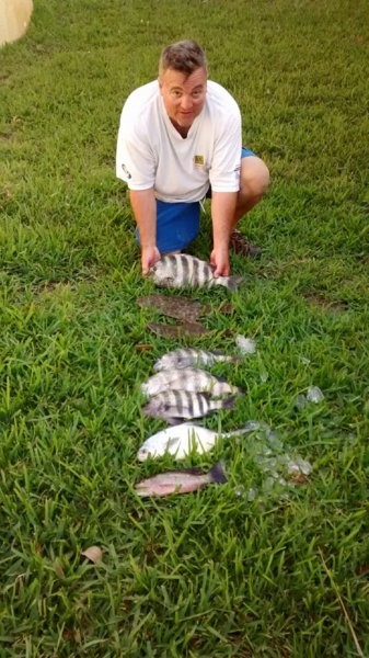 upload_2017-7-2_7-14-12.jpeg