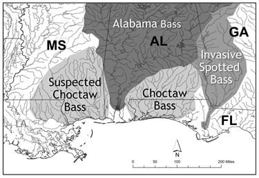 web%20article%20map_new.jpg
