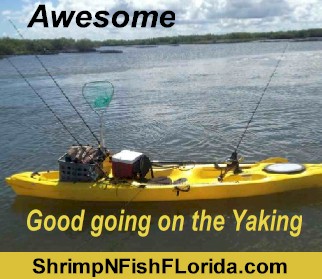yaking1-jpg-19588-jpg.19589.jpg