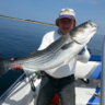Sea Chaser