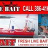 Jenny@LivewireBait