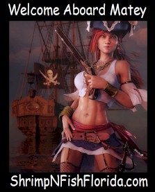 PirateArt33