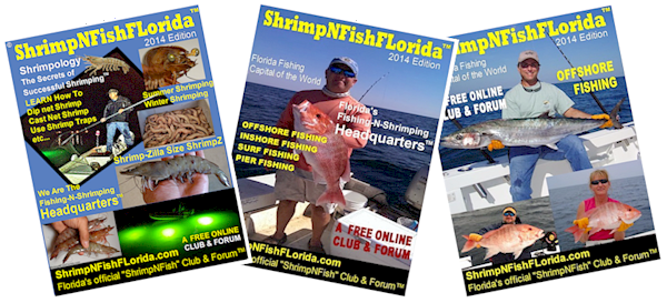 A FREE Interactive Online Fishing AND Shrimping Magazine With Daily Updates