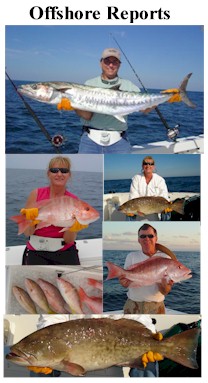 Daily Offshore Fishing Reports