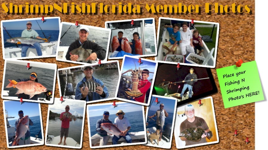 Florida Fishing Reports Forum At It’s Best Whether your into Freshwater fishing or Saltwater fishing, we got you covered.