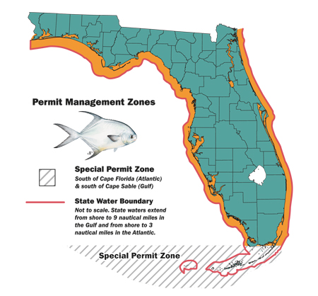 Inshore Saltwater Fish Identification | Page 2 | ShrimpNFishFlorida™ is ...