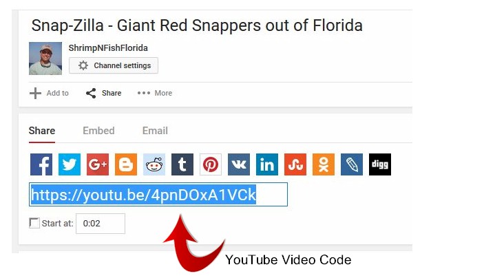 How To Post Videos From Youtube - Vimeo - Liveleak | ShrimpNFishFlorida ...