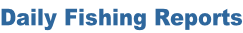 Daily Fishing Reports, Daily Shrimping Reports